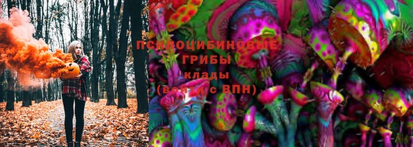 MESCALINE Гусь-Хрустальный