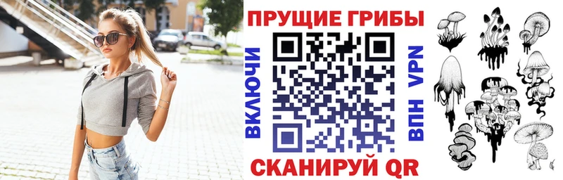 Купить закладки  Шелехов  Псилоцибиновые грибы Psilocybine cubensis 