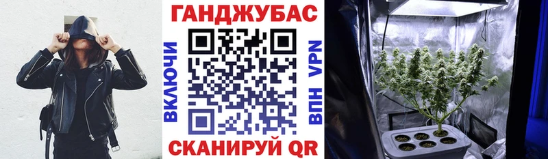 Шишки марихуана семена  Купить где  Шелехов 